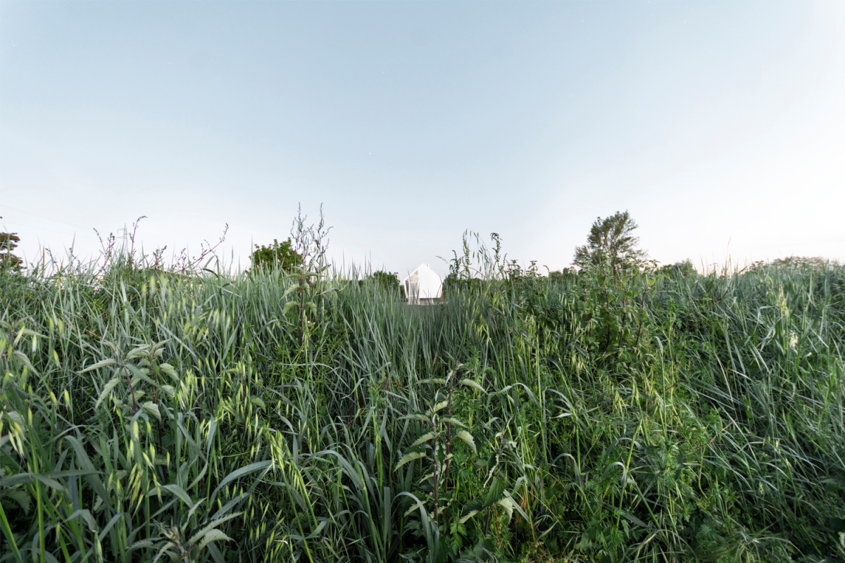 CASA NELL'ORTO foto dal campo