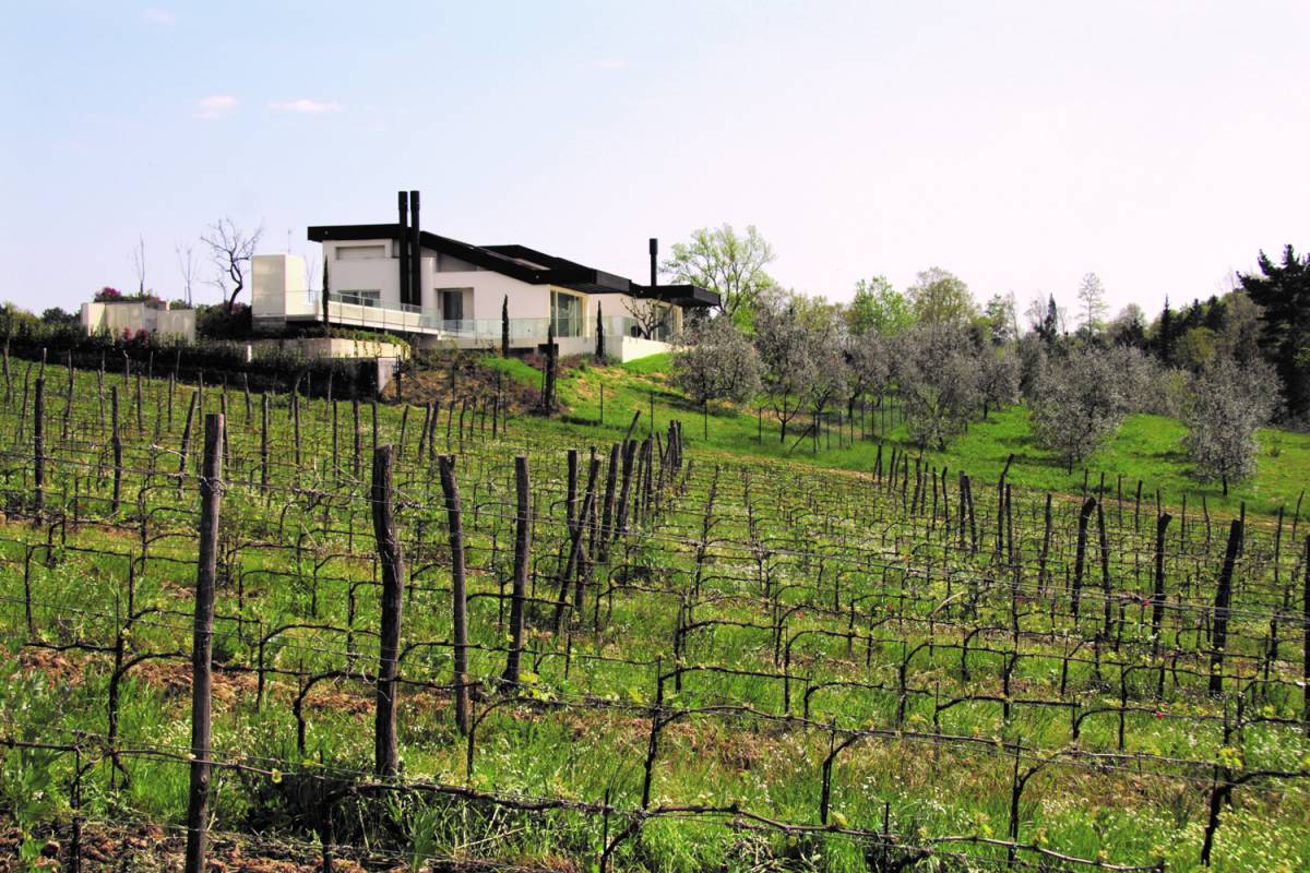 casa turini tra uliveto e vigneto